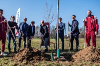 Suzuki: il bosco del Toro al parco Colonnetti di Torino