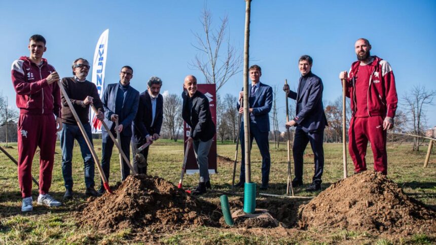 Suzuki: il bosco del Toro al parco Colonnetti di Torino