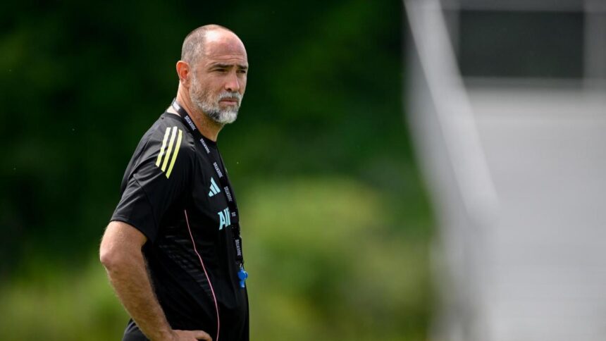 Juve, Tudor: "Non mi sono mai sentito un traghettatore. Competitivi con tre rinforzi"