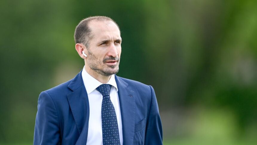 Chiellini diventa co-proprietario del Los Angeles: "Invariati i miei impegni con la Juve"