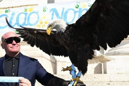 Lazio, l'ex falconiere Bernabè sbarca nudo su Onlyfans e attacca Lotito