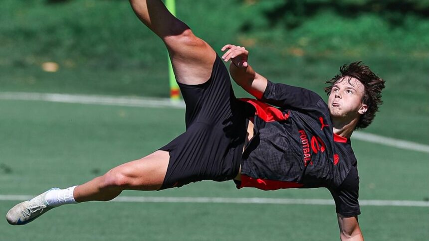 Serie D i gironi del campionato 2025 2026