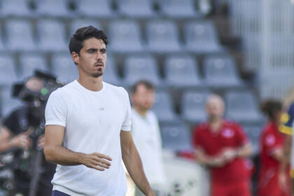 Serie A: in campo alle 18,30 Parma-Torino - Calcio