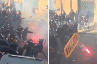 Pisa e Verona, dopo gli scontri dell'ultima giornata trasferte vietate per tre mesi