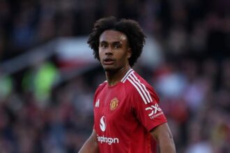 a gennaio si punta sull'usato sicuro, tutti i possibili ritorni