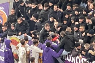 Fiorentina sotto la curva: Dzeko al megafono