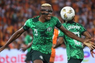 i convocati di serie A, B, C e D, le stelle, i favoriti