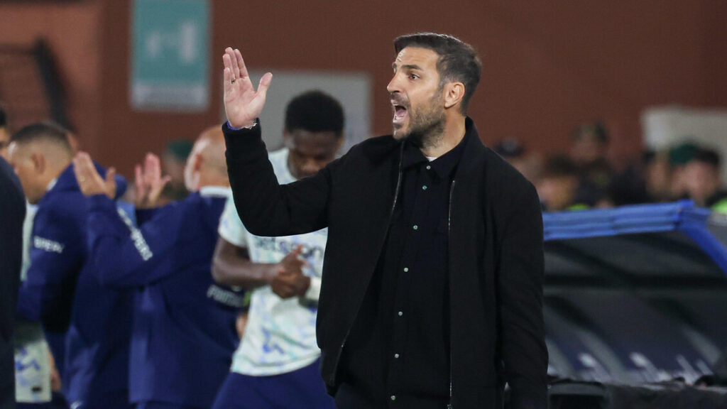 Fabregas, continuiamo a spingere per portare il Como sempre più su - Calcio