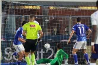 le proteste di Fabregas, la svista di Massa e del Var, per Chivu quasi tutti in giallo