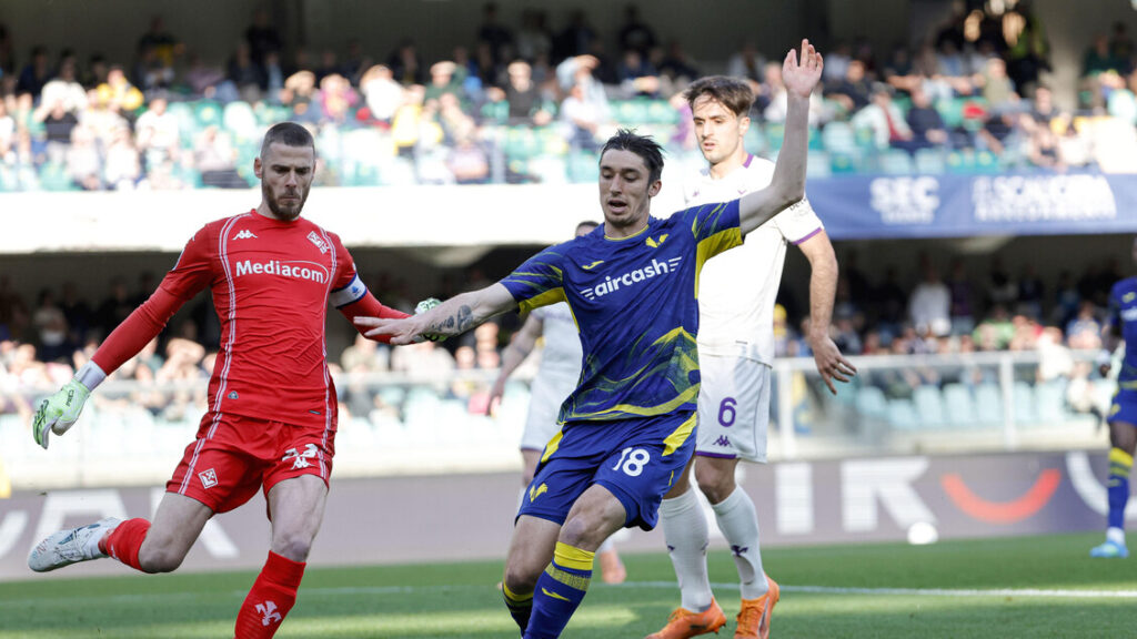 Serie A, in campo Verona-Fiorentina DIRETTA - Calcio