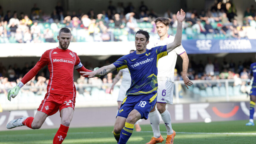 Serie A, in campo Verona-Fiorentina DIRETTA - Calcio