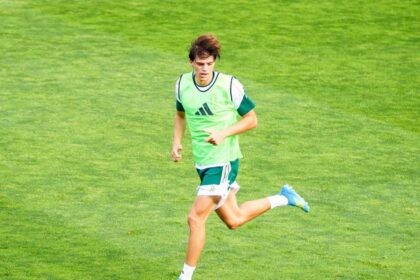 Mercato: Newcastle e City chiamano ma Palestra vuole solo l'Inter