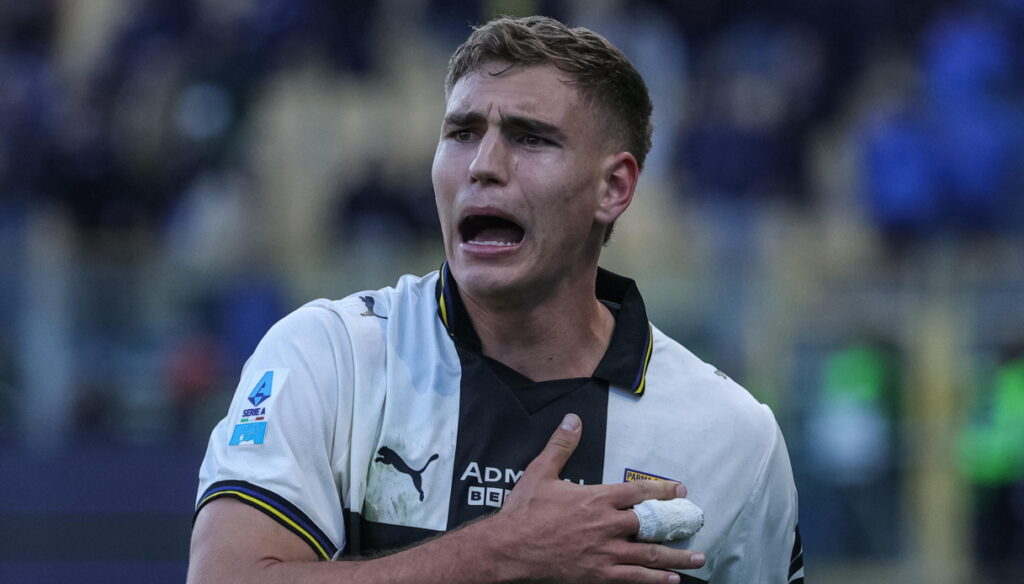 “Meglio di Sorloth”. Gatti la carta per il pupillo di Spalletti