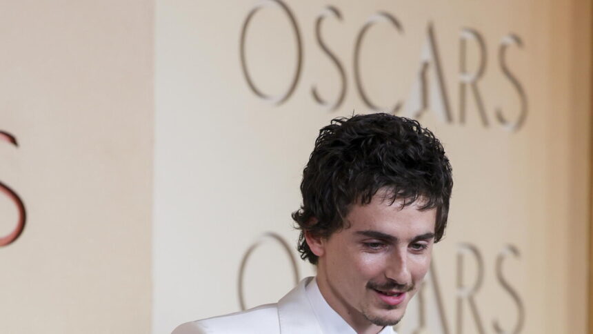 Mondiali: Chalamet, Cruz, Bardem e Flea, tifo vip per Spagna-Austria - Calcio