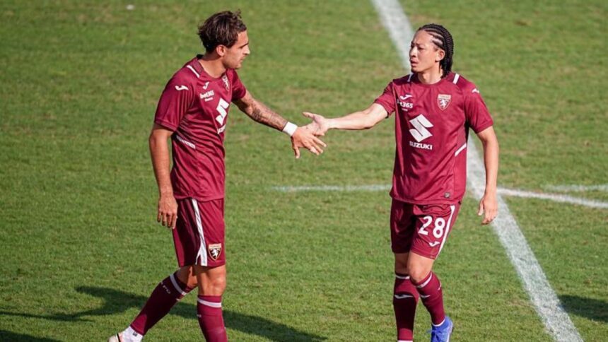 Torino-Vado 3-1: doppietta Kulenovic e gol di Gabellini